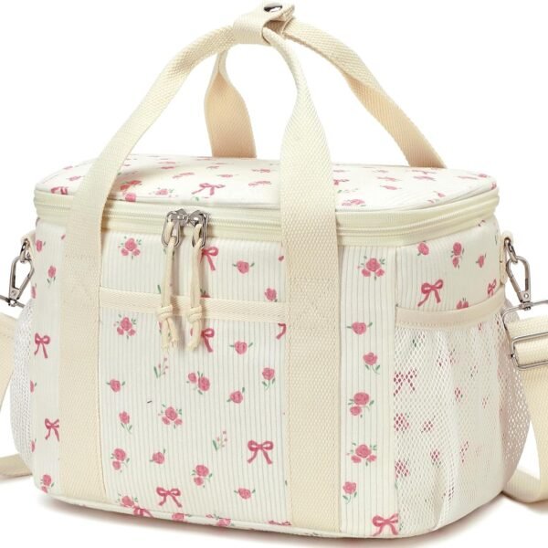 Stylish insulated lunch bag